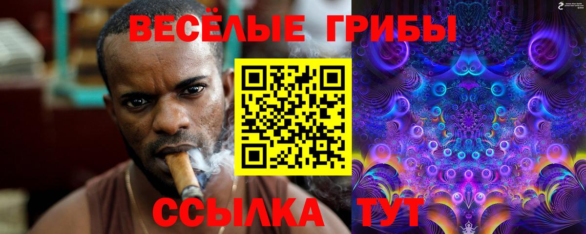 Сафоново  Псилоцибиновые грибы GOLDEN TEACHER  Галлюциногенные грибы MAGIC MUSHROOMS  Вход с VPN 